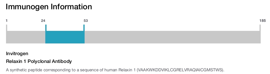 Relaxin 1 Polyclonal Antibody