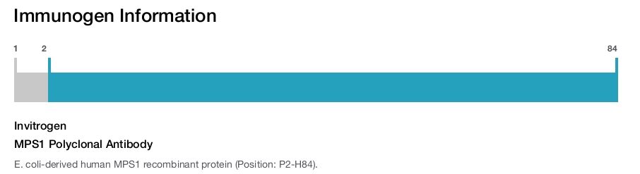MPS1 Polyclonal Antibody