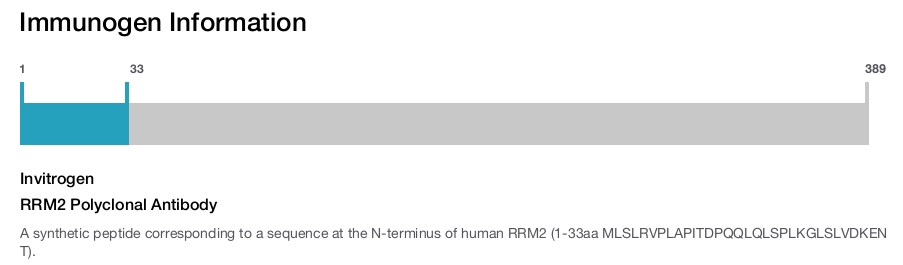 RRM2 Polyclonal Antibody