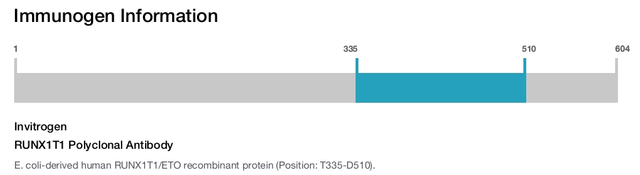 RUNX1T1 Polyclonal Antibody