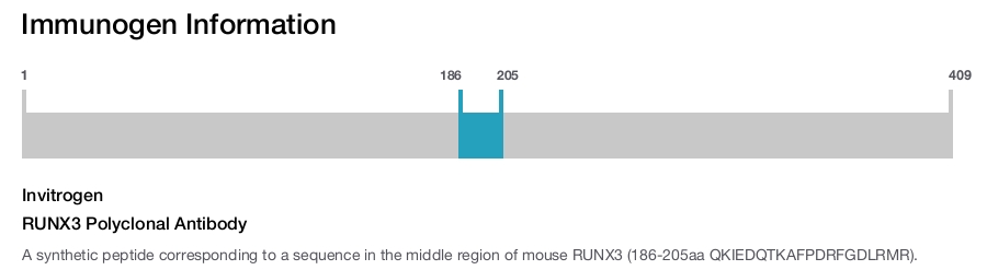 RUNX3 Polyclonal Antibody