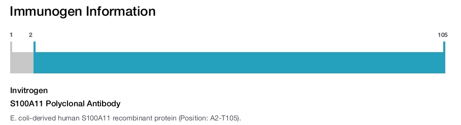 S100A11 Polyclonal Antibody