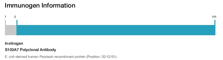 S100A7 Polyclonal Antibody