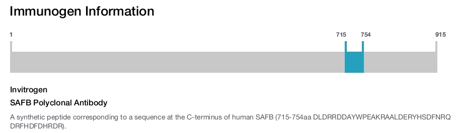 SAFB Polyclonal Antibody