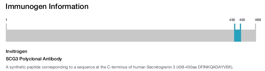 SCG3 Polyclonal Antibody