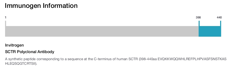 SCTR Polyclonal Antibody