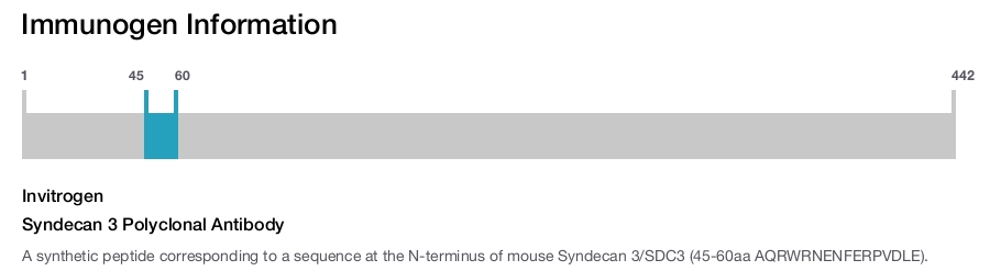 Syndecan 3 Polyclonal Antibody