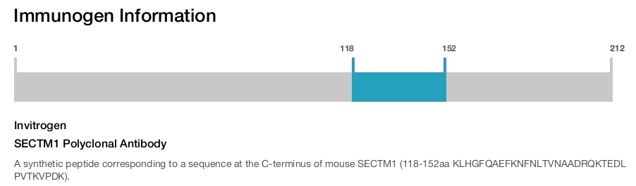 SECTM1 Polyclonal Antibody