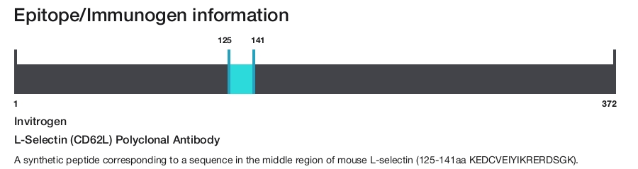 L-Selectin (CD62L) Polyclonal Antibody