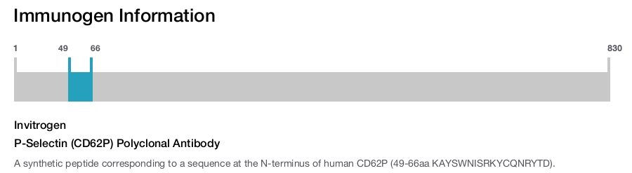 P-Selectin (CD62P) Polyclonal Antibody