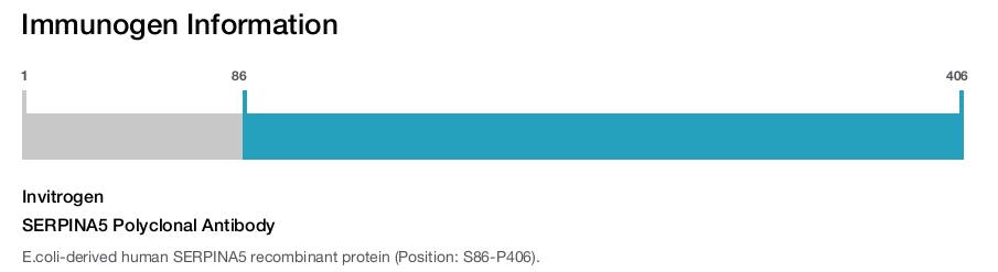 SERPINA5 Polyclonal Antibody