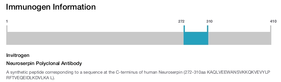 Neuroserpin Polyclonal Antibody