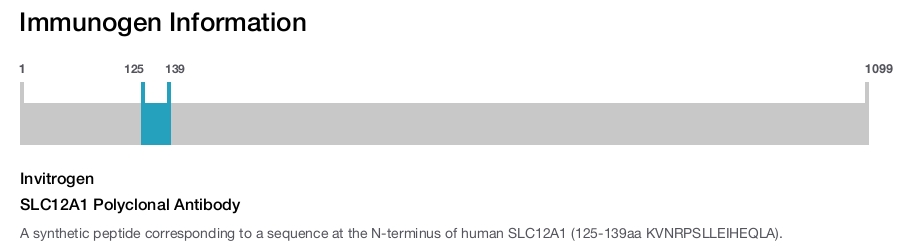 SLC12A1 Polyclonal Antibody