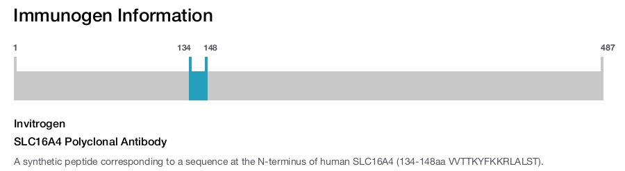 SLC16A4 Polyclonal Antibody