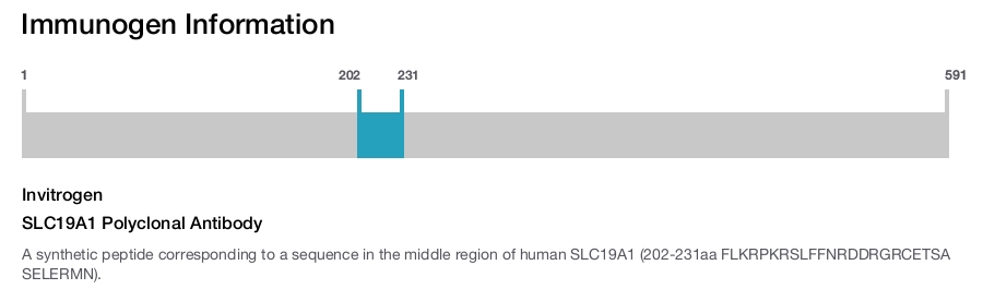 SLC19A1 Polyclonal Antibody