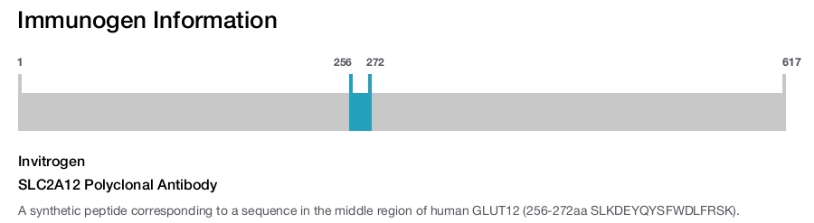 SLC2A12 Polyclonal Antibody