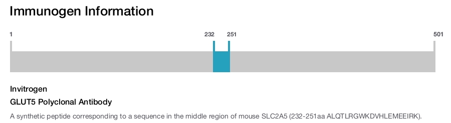 GLUT5 Polyclonal Antibody
