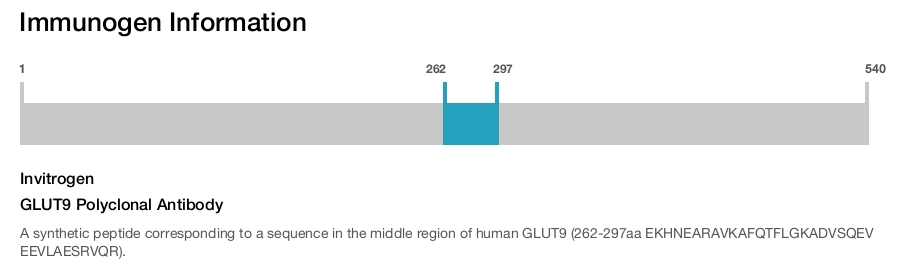 GLUT9 Polyclonal Antibody