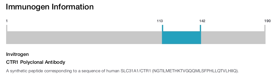 CTR1 Polyclonal Antibody