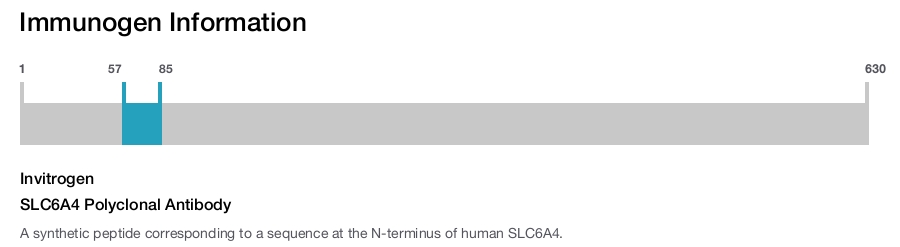 SLC6A4 Polyclonal Antibody