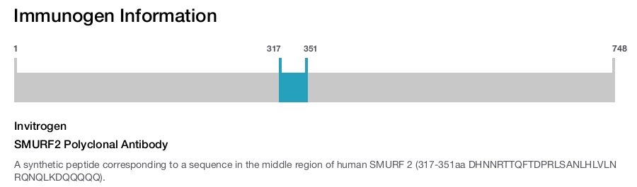 SMURF2 Polyclonal Antibody