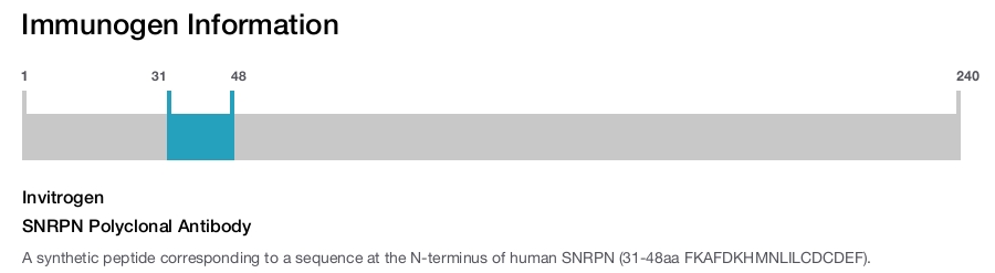 SNRPN Polyclonal Antibody