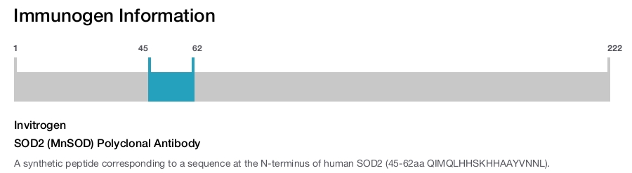 SOD2 (MnSOD) Polyclonal Antibody