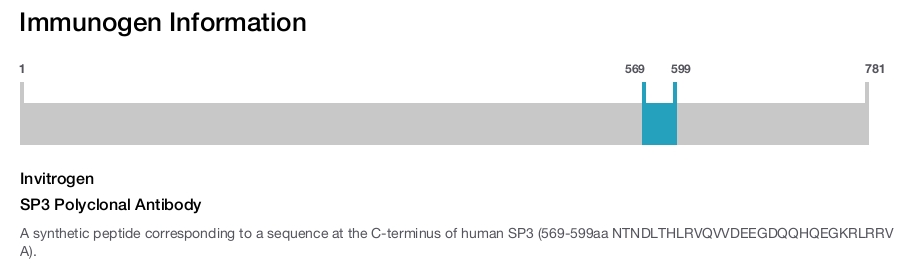 SP3 Polyclonal Antibody