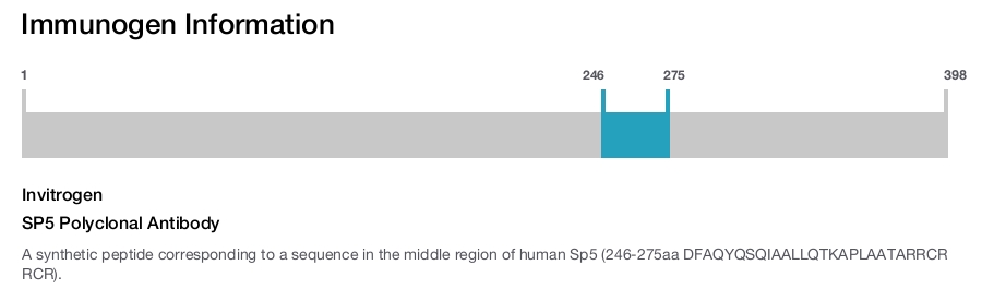SP5 Polyclonal Antibody