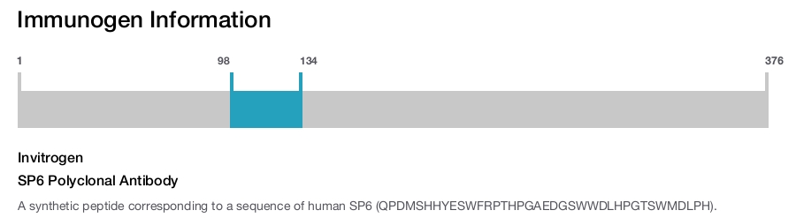 SP6 Polyclonal Antibody