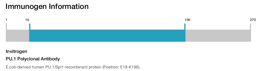 PU.1 Polyclonal Antibody