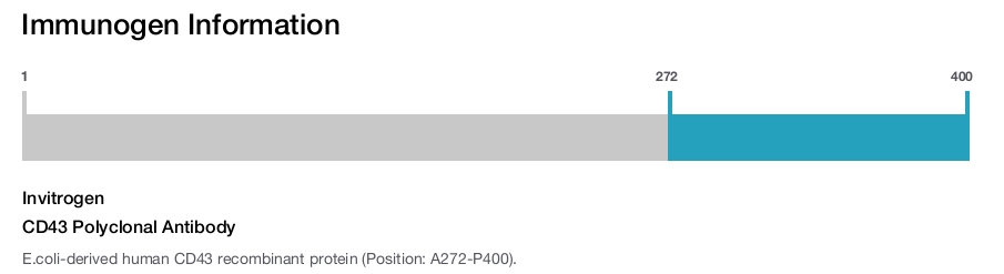 CD43 Polyclonal Antibody