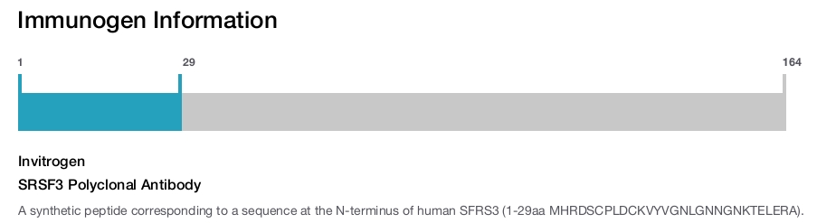 SRSF3 Polyclonal Antibody