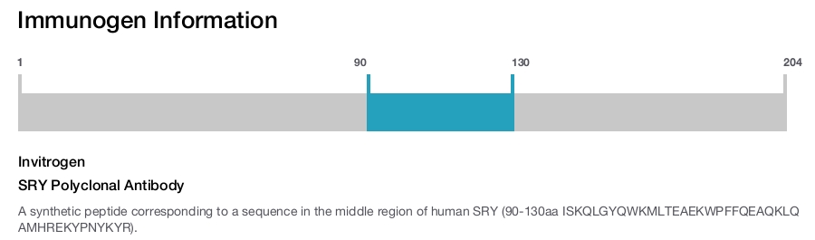 SRY Polyclonal Antibody