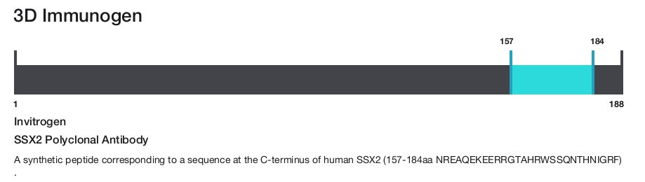 SSX2 Polyclonal Antibody
