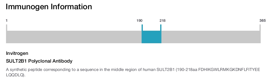 SULT2B1 Polyclonal Antibody