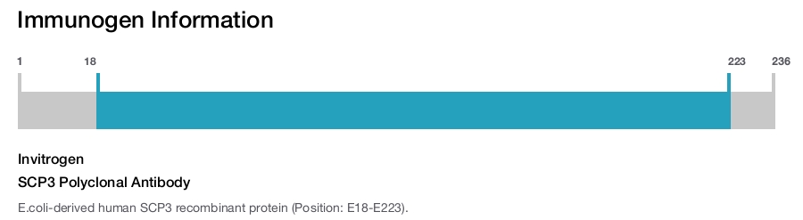 SCP3 Polyclonal Antibody