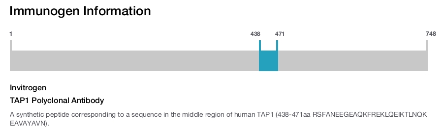 TAP1 Polyclonal Antibody