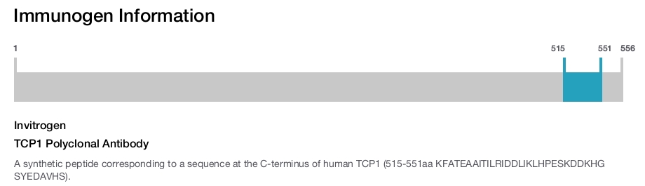 TCP1 Polyclonal Antibody