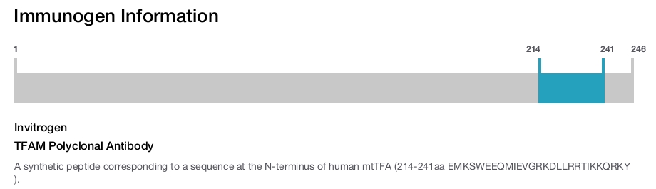 TFAM Polyclonal Antibody