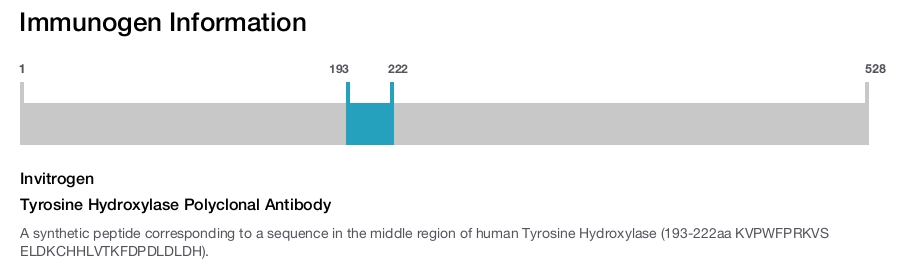 Tyrosine Hydroxylase Polyclonal Antibody