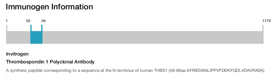Thrombospondin 1 Polyclonal Antibody