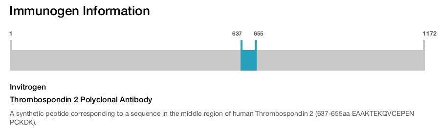 Thrombospondin 2 Polyclonal Antibody