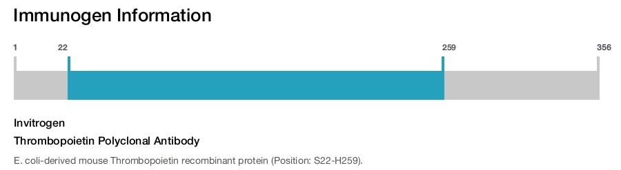 Thrombopoietin Polyclonal Antibody