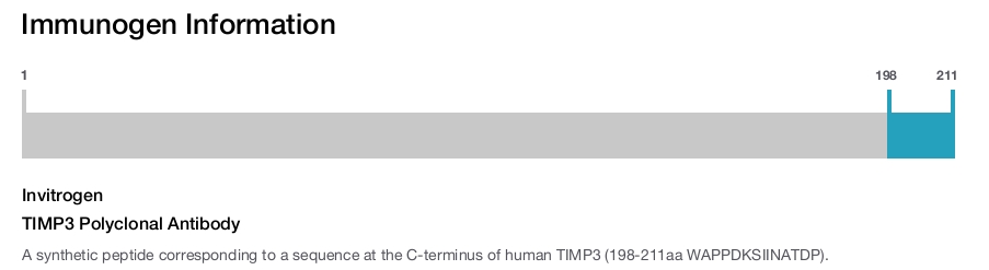 TIMP3 Polyclonal Antibody