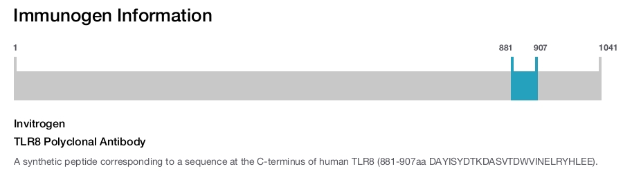 TLR8 Polyclonal Antibody
