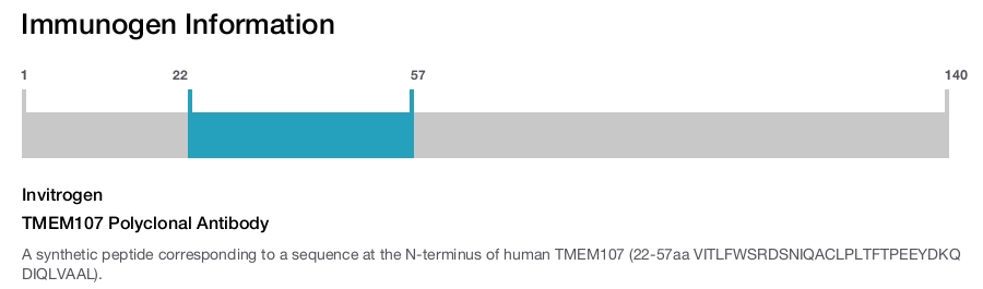 TMEM107 Polyclonal Antibody