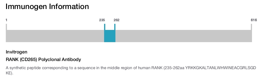 RANK (CD265) Polyclonal Antibody