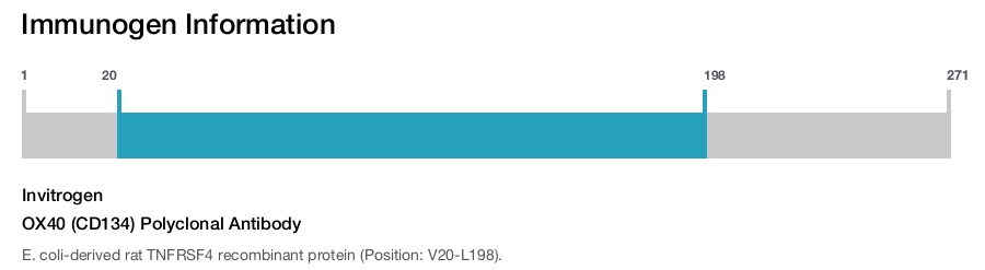 OX40 (CD134) Polyclonal Antibody