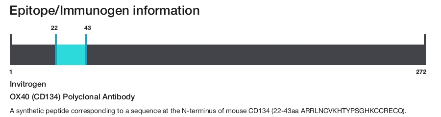 OX40 (CD134) Polyclonal Antibody